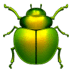 :beetle: :beetle: