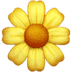 :blossom: :blossom: