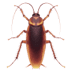 :cockroach: :cockroach: