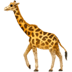 :giraffe: :giraffe: