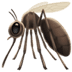 :mosquito: :mosquito: