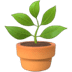 :potted_plant: :potted_plant: