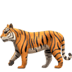 :tiger2: :tiger2: