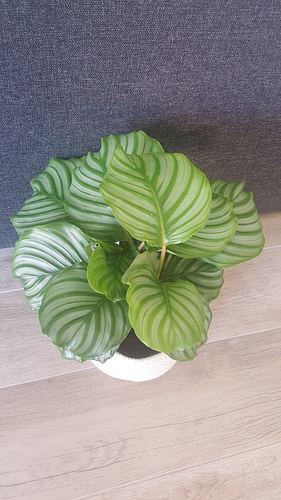 20180702_080433