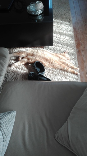 IMG-20180518-WA0000
