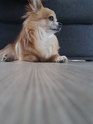 20180510_185117
