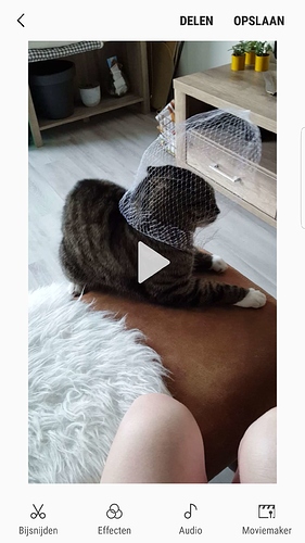 Screenshot_20180703-225457