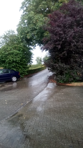 IMG-20180728-WA0014