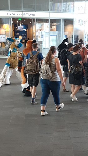 IMG-20180721-WA0003