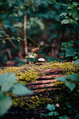 IMG-20211017-WA0034
