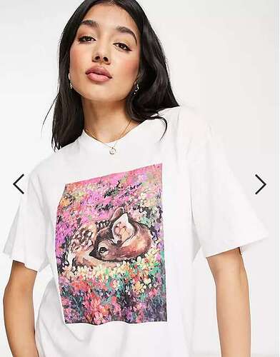 Screenshot 2022-04-29 at 20-13-19 Monki - T-shirt in wit met hertenprint ASOS