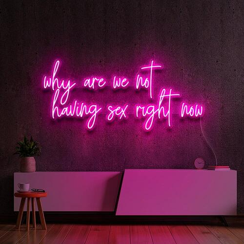 whyarewenothavingsexpinkneonsignbyneonicons_1000x