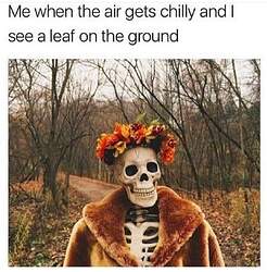 FB_IMG_1627060471040