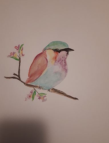 Vogel 3