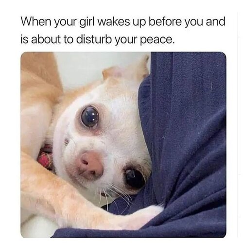 When-your-girl-wakes-up-before-you-and-is-about-to-disturb-your-peace