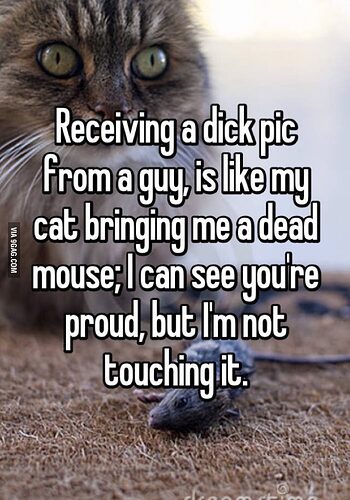Im-not-touching-it