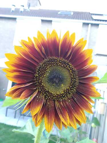 IMG-20220828-WA0010