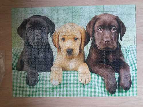 WhatsApp Image 2021-11-06 at 15.29.05