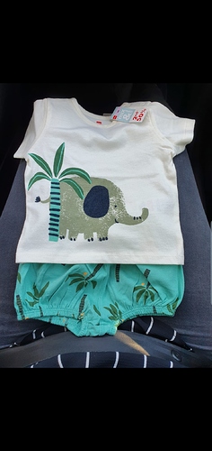 Screenshot_20190601-170836_WhatsApp