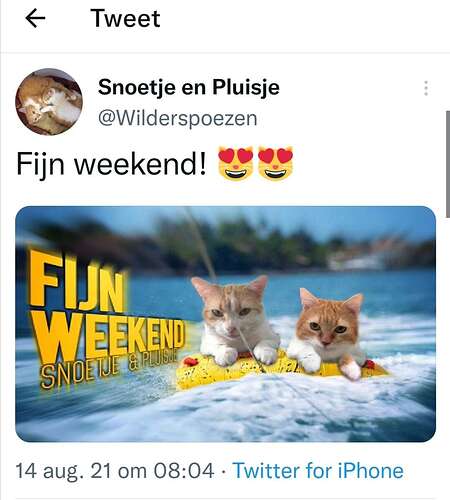Screenshot_20211113_232815