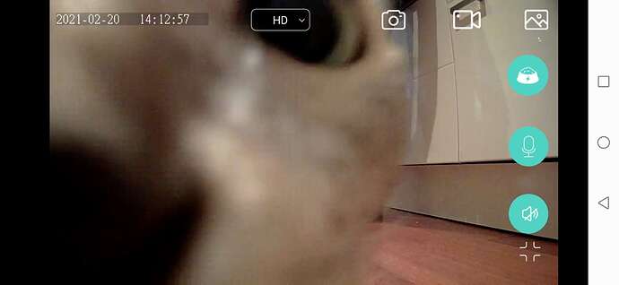 Screenshot_20210220_141258_com.pettadore.pet