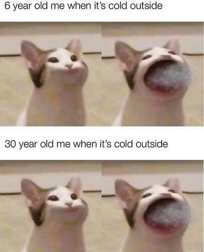 FB_IMG_1611958566114