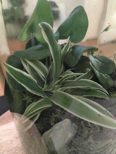 IMG-20210305-WA0000