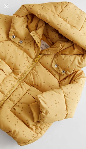 Screenshot_20201031_200537_com.inditex.zara