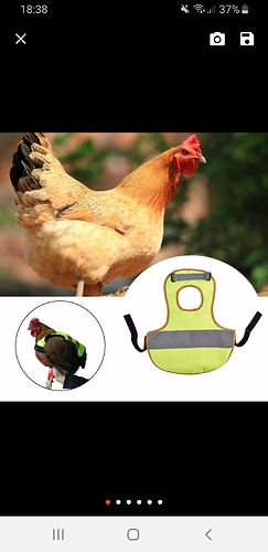 Screenshot_20200131-183808_AliExpress