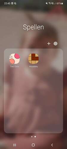 Screenshot_20220206-224509_One UI Home
