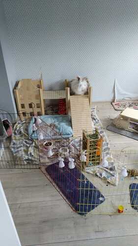IMG-20210619-WA0002