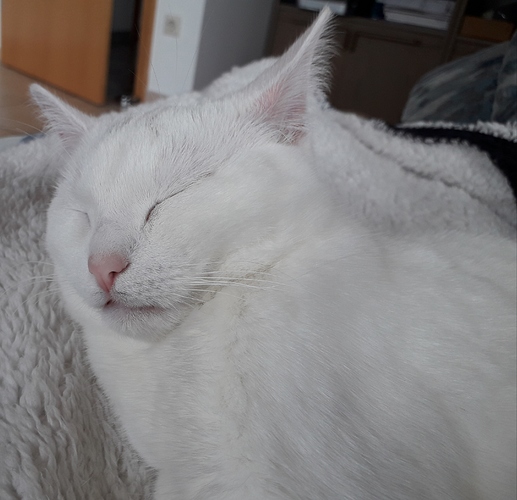 20190117_125523