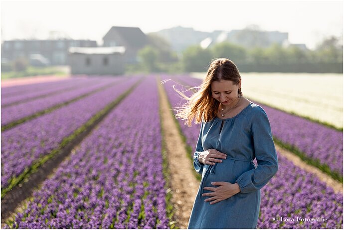 fotoshoot-in-de-bloemenvelden-Lisse_0008