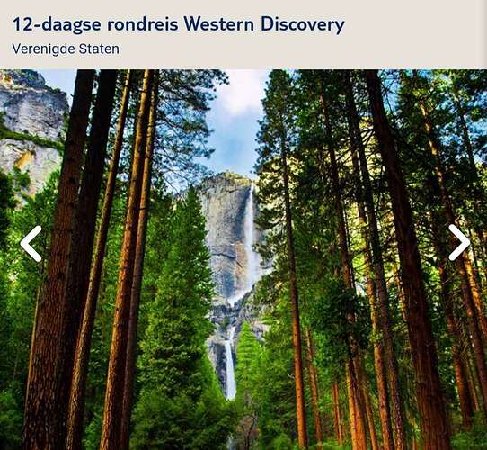 Screenshot_20210213-202900_Chrome
