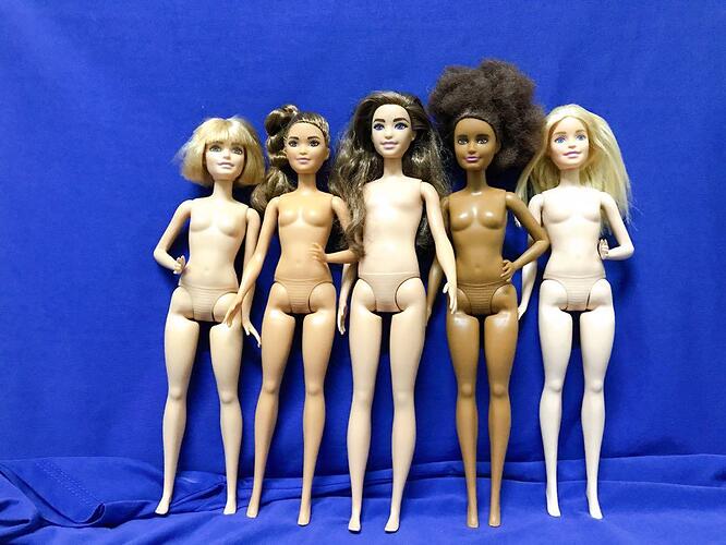 mattel_barbie_fashionistas_nud_1593698488_f1bb0823_progressive
