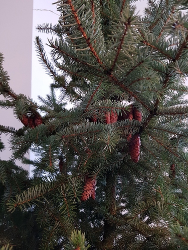 20191201_143506
