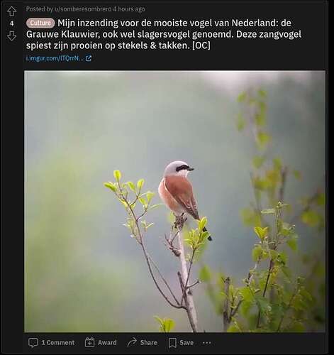 Screen Shot 2021-05-28 at 15.57.53