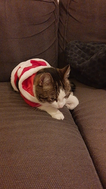 IMG-20191215-WA0007