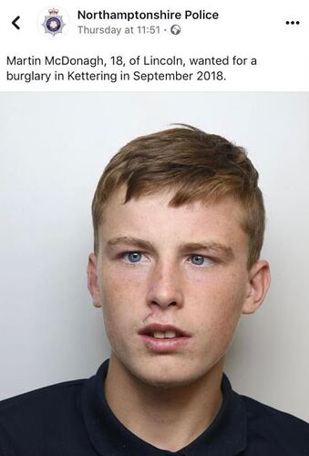 Knipsel