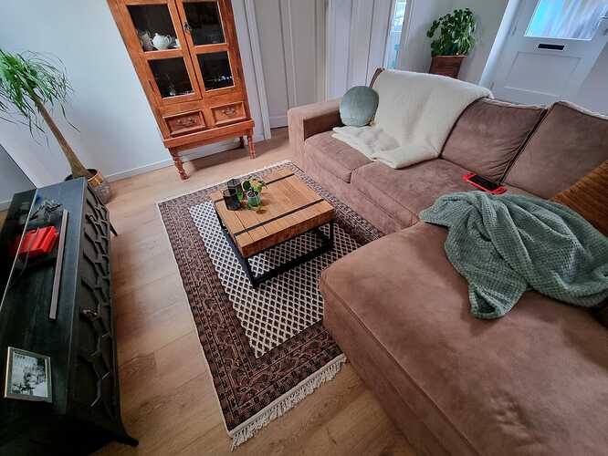 carpet2