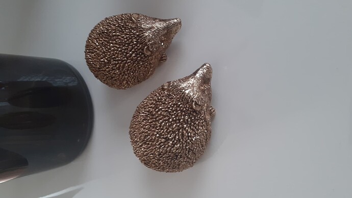 IMG-20220830-WA0008
