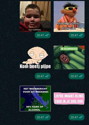 Screenshot_20211008-204739_WhatsApp