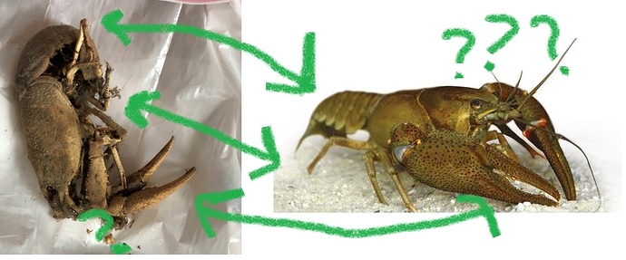 12345