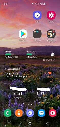 Screenshot_20210627-163140_One UI Home
