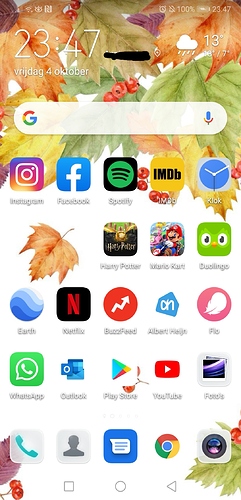 Screenshot_20191004_235339