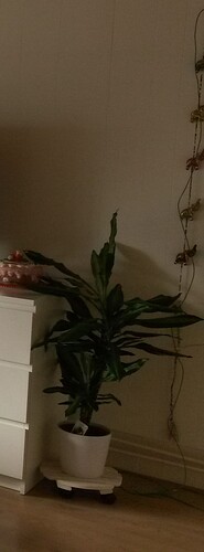 20150926_104913 (2)