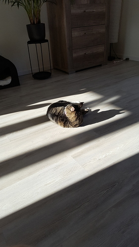 20190203_124718