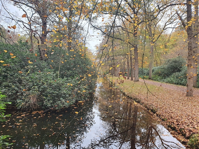 20201115_094418