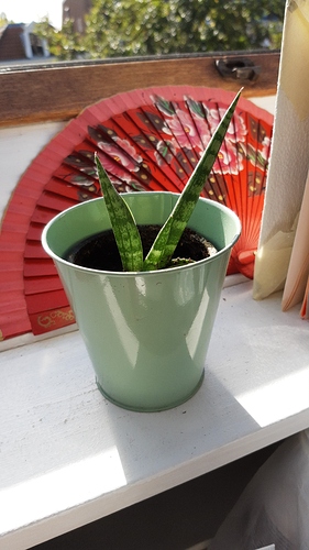 IMG-20191002-WA0012