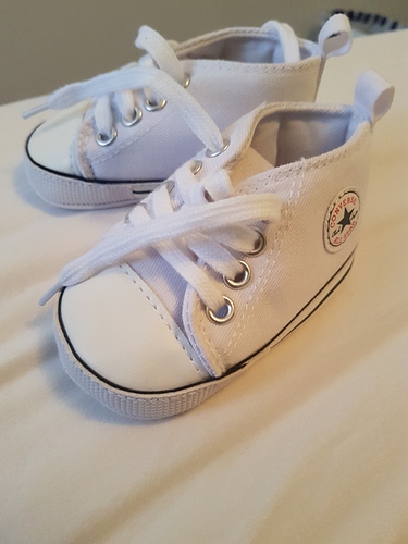 15656958401259043822186181480112